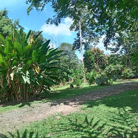 Glamping Naioth Apartment Guápiles Exterior foto