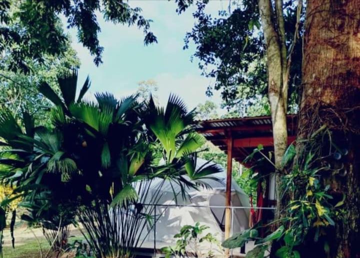 Glamping Naioth Apartment Guápiles Exterior foto
