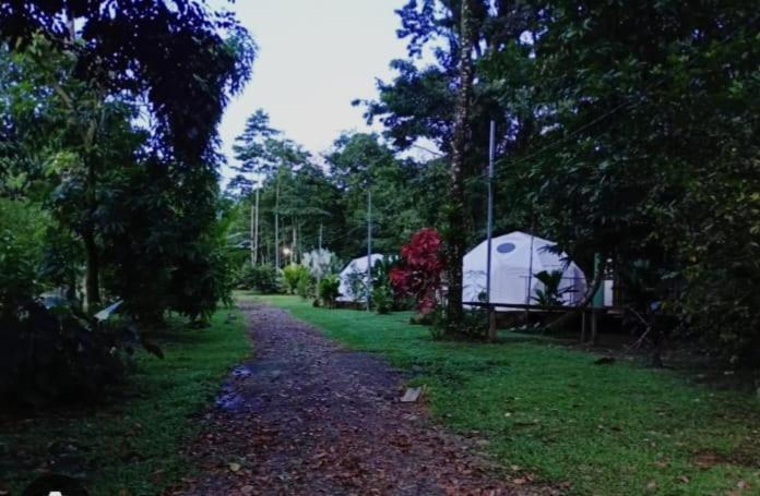 Glamping Naioth Apartment Guápiles Exterior foto