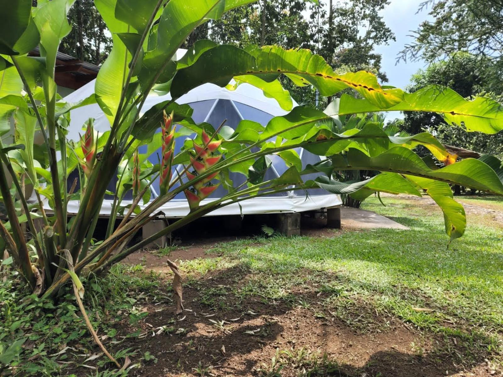 Glamping Naioth Apartment Guápiles Exterior foto