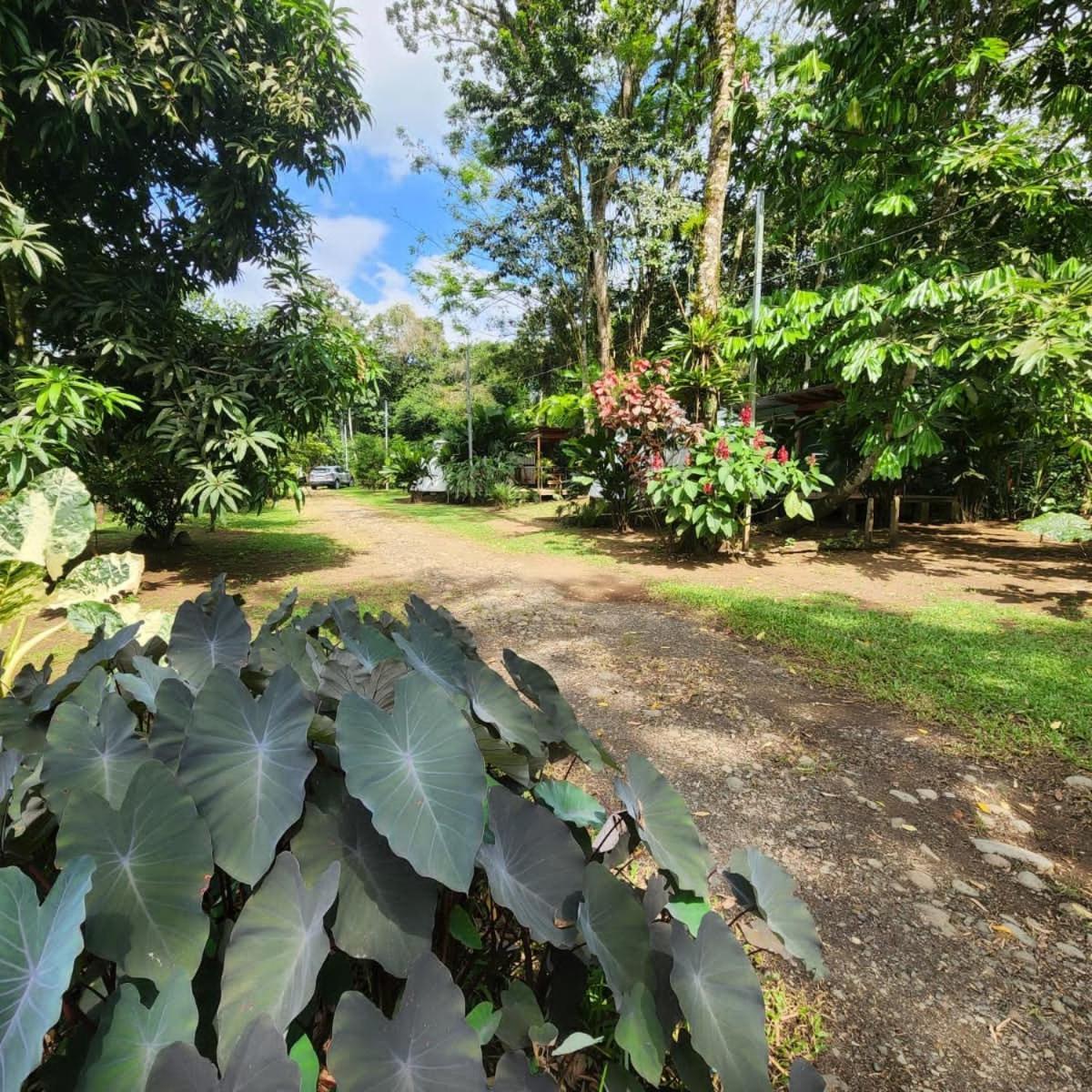Glamping Naioth Apartment Guápiles Exterior foto