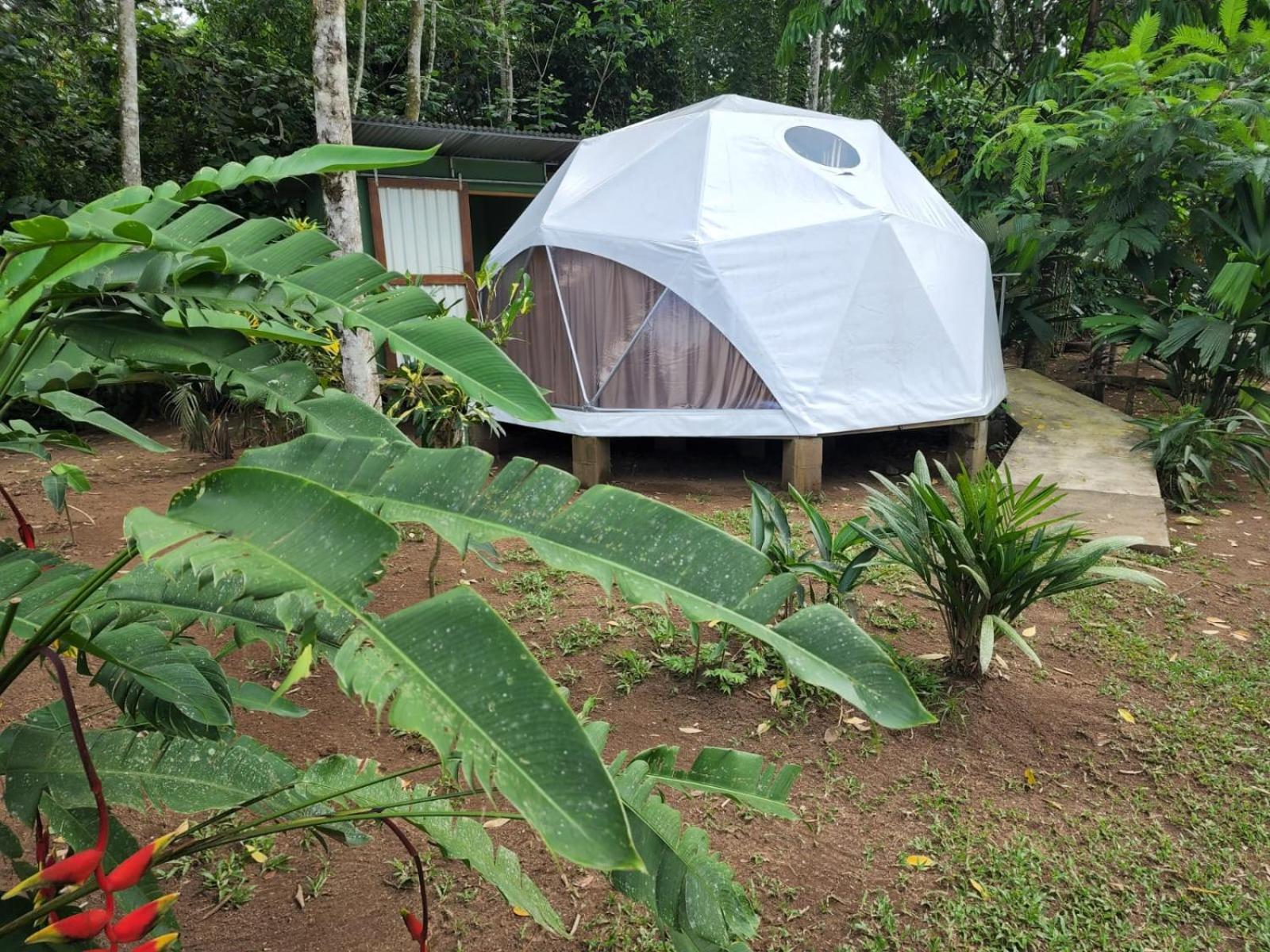 Glamping Naioth Apartment Guápiles Exterior foto