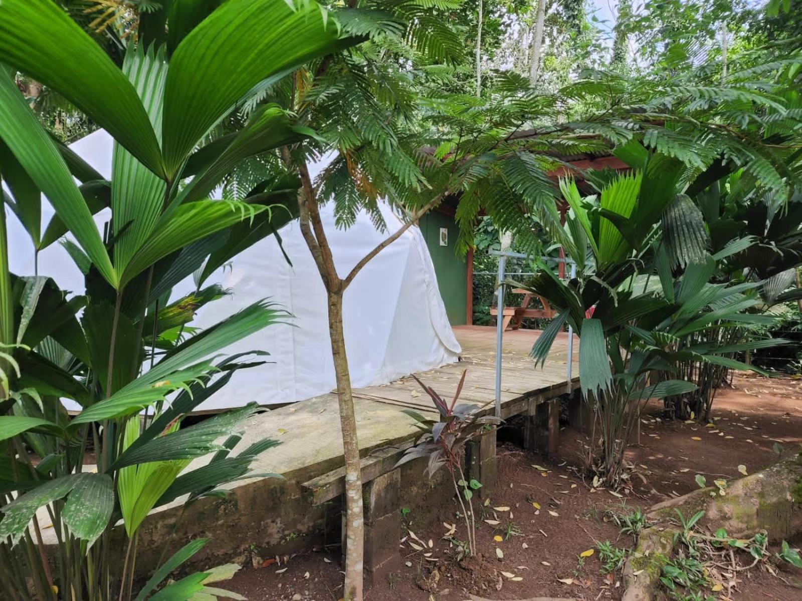 Glamping Naioth Apartment Guápiles Exterior foto