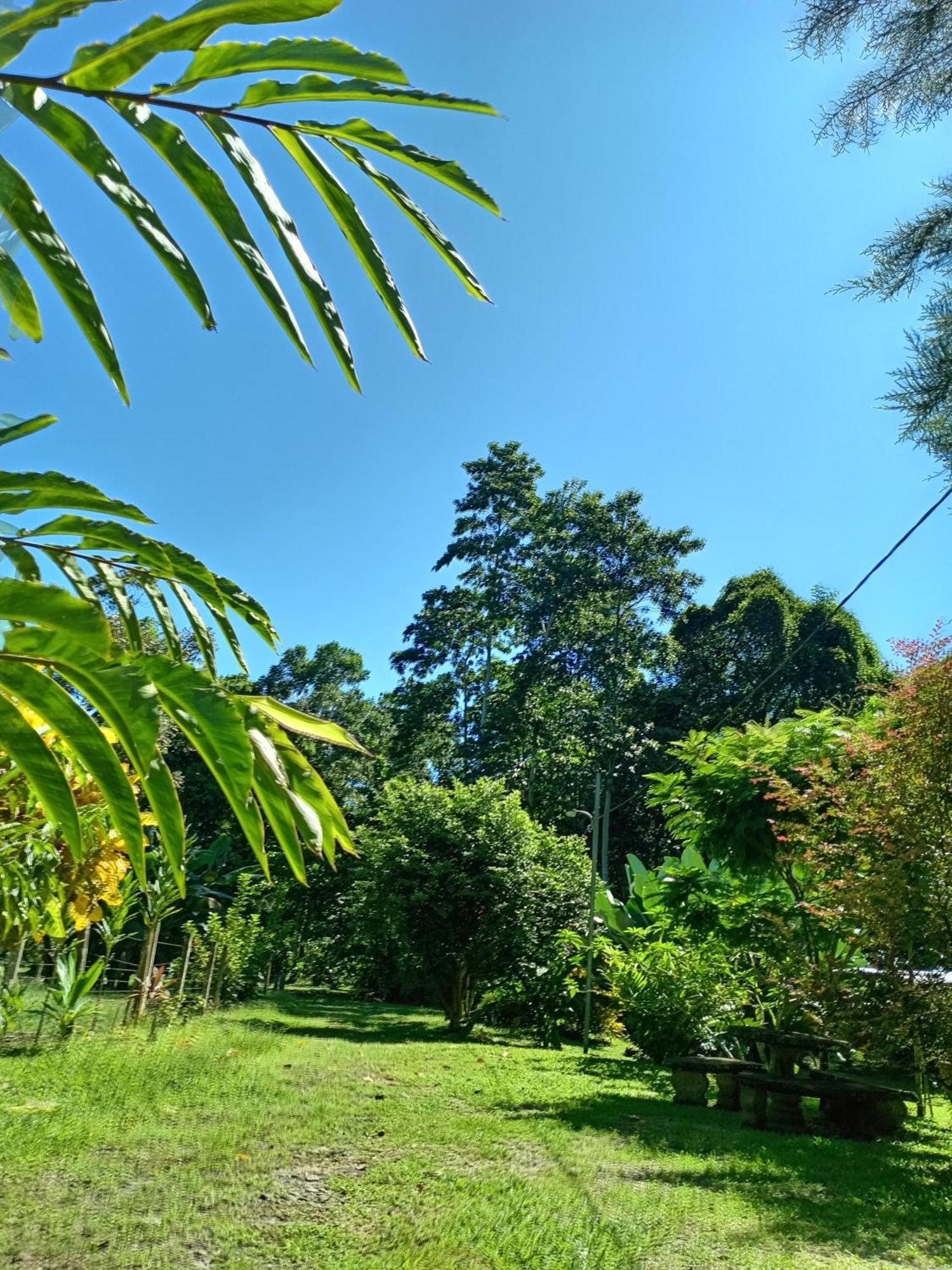 Glamping Naioth Apartment Guápiles Cameră foto