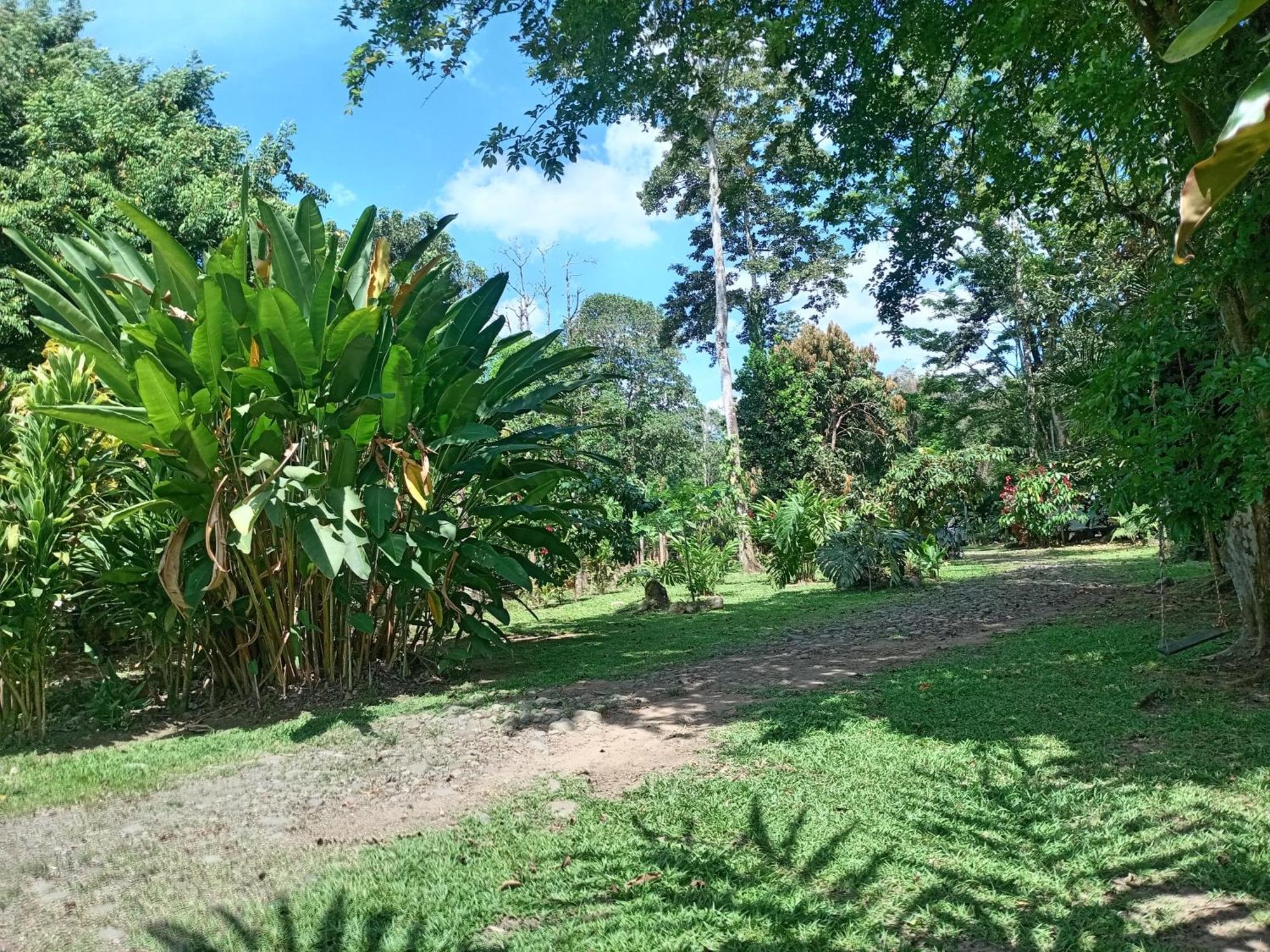 Glamping Naioth Apartment Guápiles Exterior foto