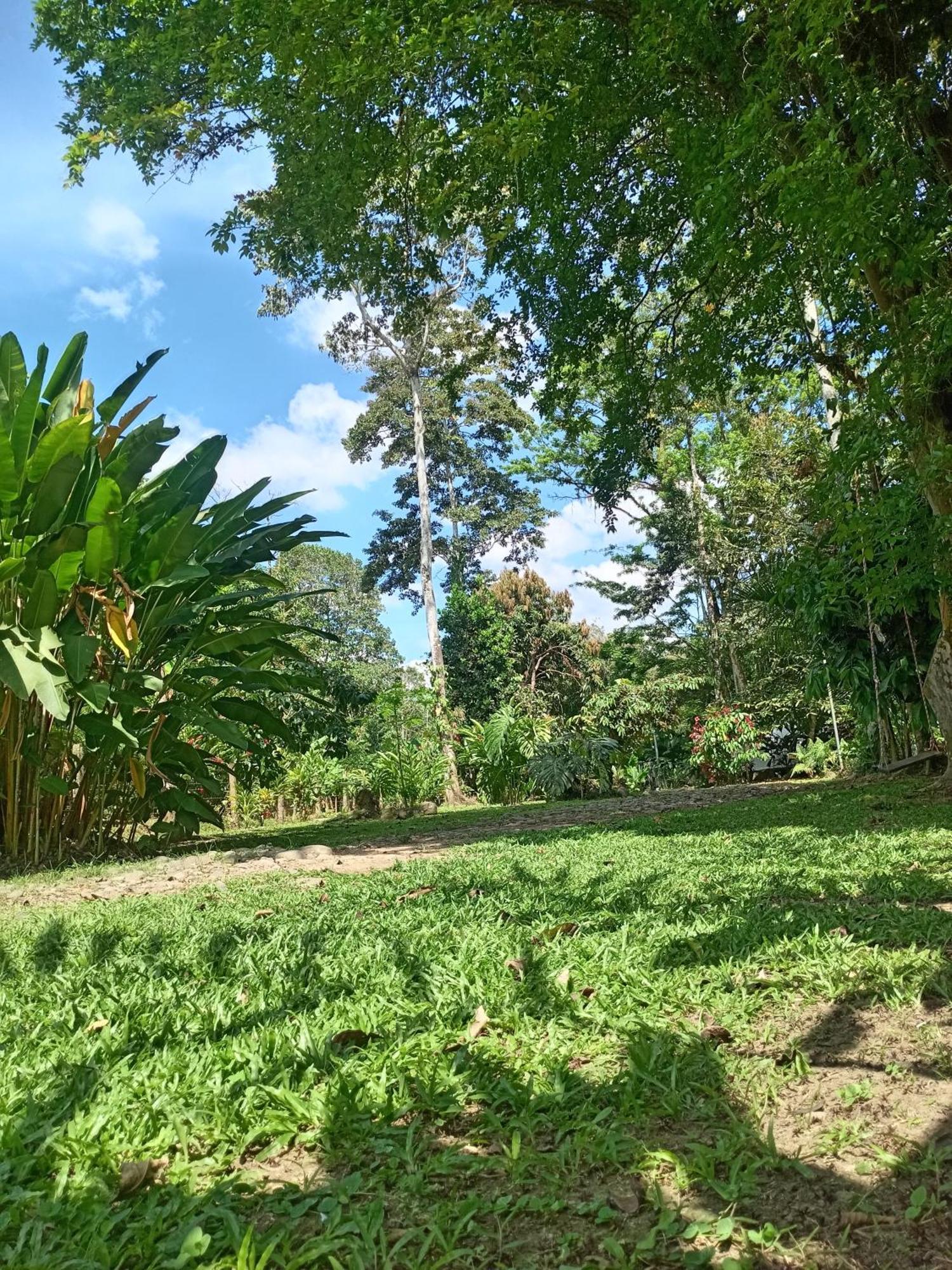 Glamping Naioth Apartment Guápiles Cameră foto