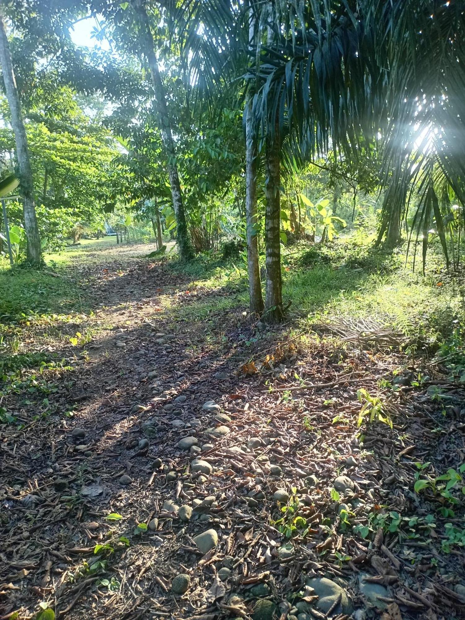 Glamping Naioth Apartment Guápiles Exterior foto